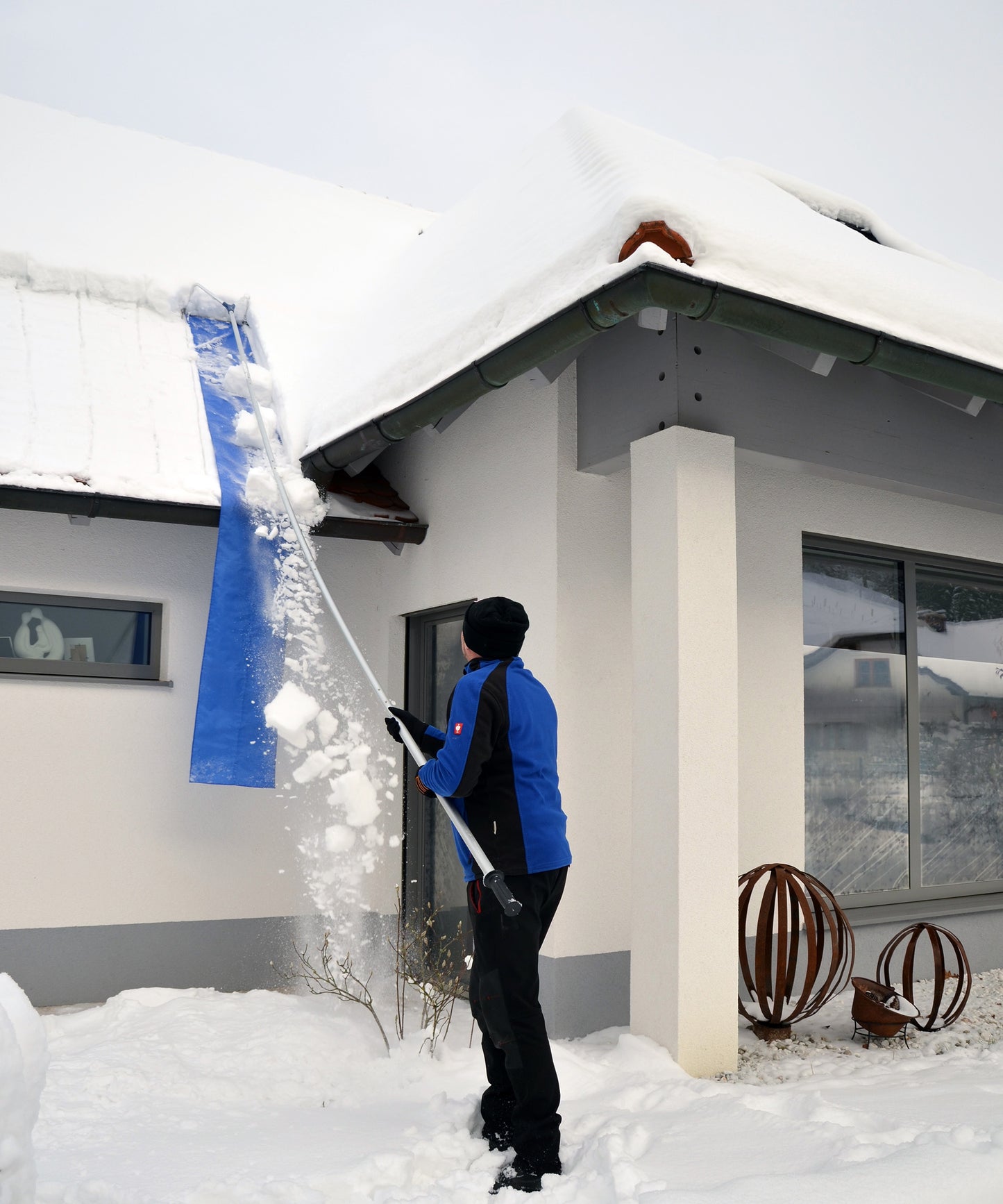 Sonneck snørake
